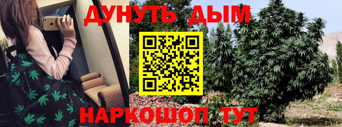 Конопля White Widow  Вход с VPN  Ейск  Каннабис конопля  Марихуана White Widow  Конопля Bruce Banner 